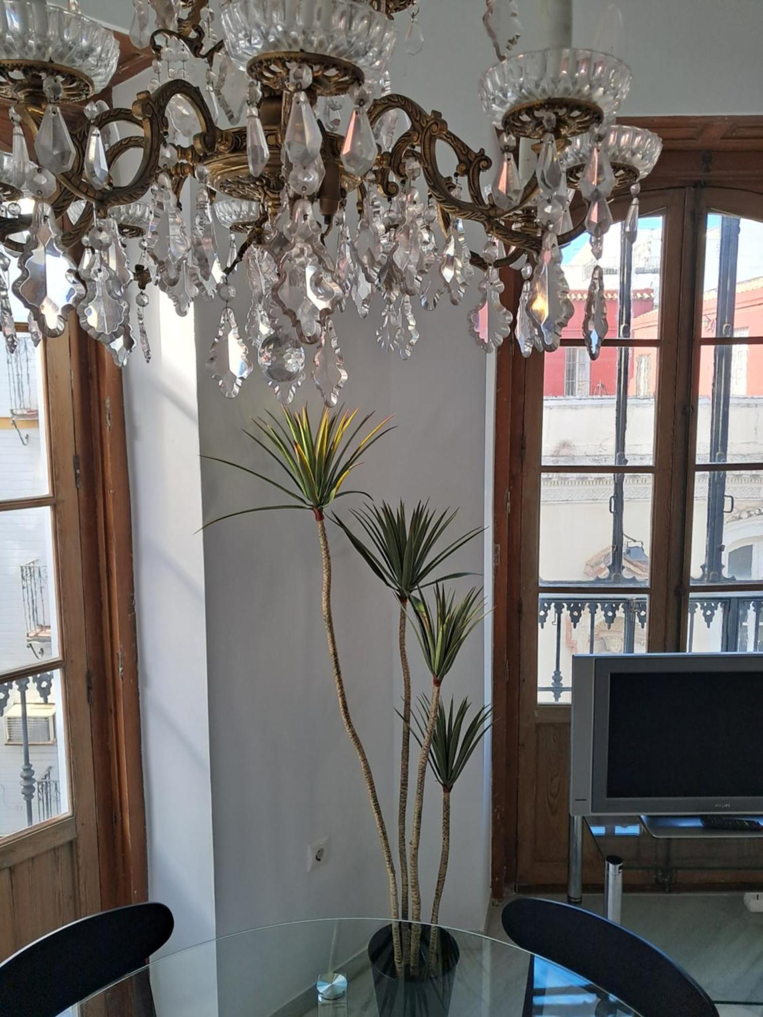 Apartamentos Almirante Hoyos Sevilla Buitenkant foto